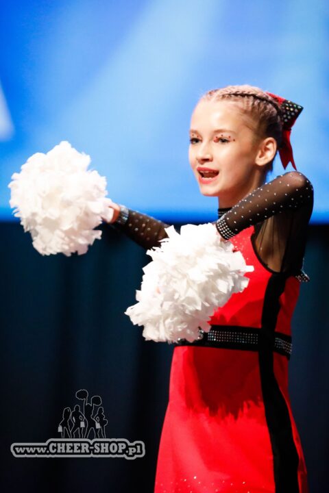 białe pompony, white metallic poms, professional pompoms