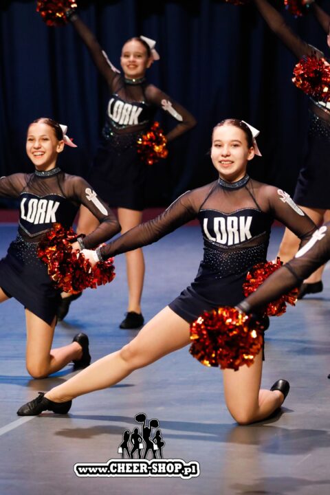 metallic poms, orange poms, cheer poms, professional poms, pompony dla cheerleaderek,