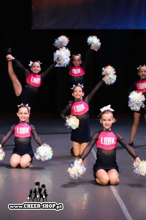 pompony dla całej drużyny, crystal poms, cheer poms, professional poms, profesjonalne pompony