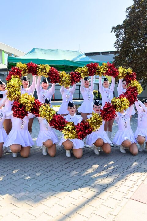 pompony dla mażoretek, sport, majorettes poms, big poms, duże pompony