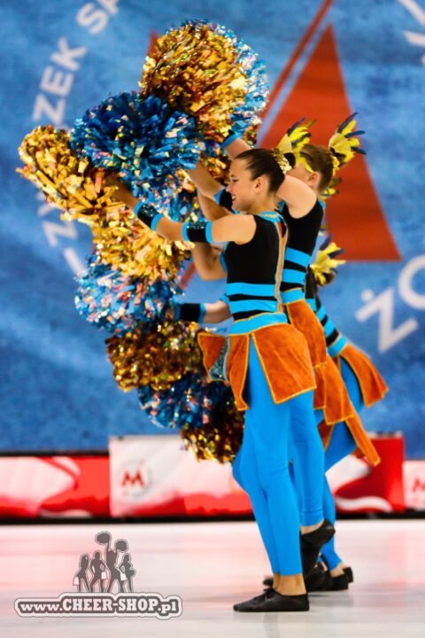 pompony dla mażoretek, duże pompony profesjonalne pompony, cheer poms, majorettes poms, professional poms, mix corols