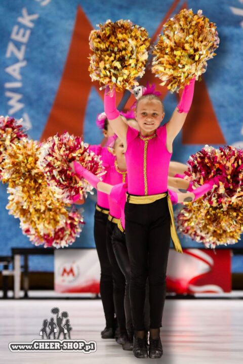 pompony mix metallic, cheer poms, majorettes pompoms, pompony dla mażoretek, big poms, duże pompony