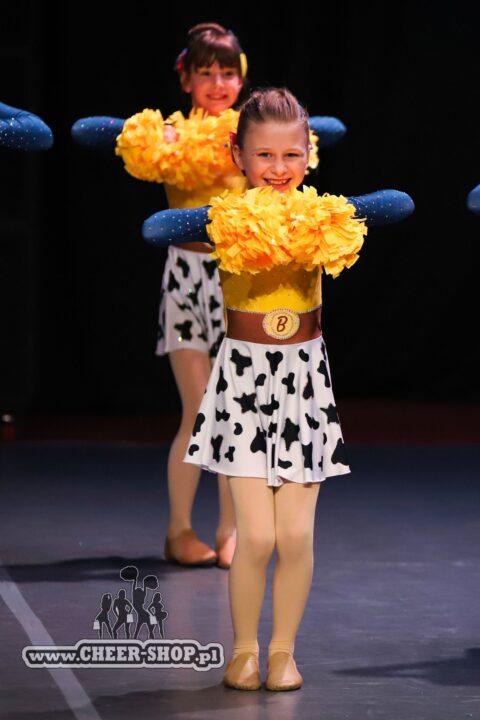 pompony żółte fluo profesjonalne, yellow fluo poms, professional cheer poms