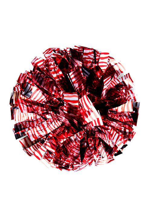 pompon w zebrę