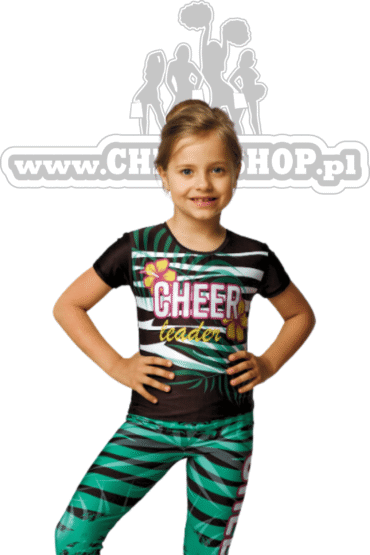 tropical t-shirt, koszulka zebra