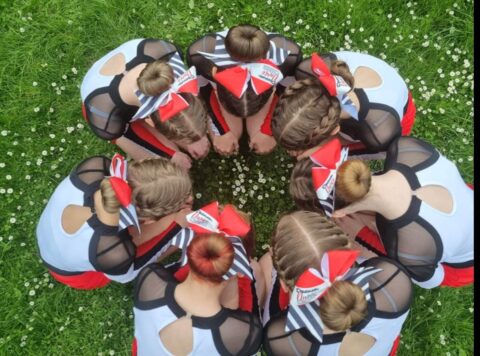 cheer kokardka bow zebra dream, professional bow, cheer bow, team bows