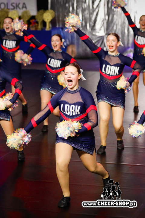 pompony dla całej drużyny, cheer poms, team poms, cheer chempionship, pompony crystal, crystal poms