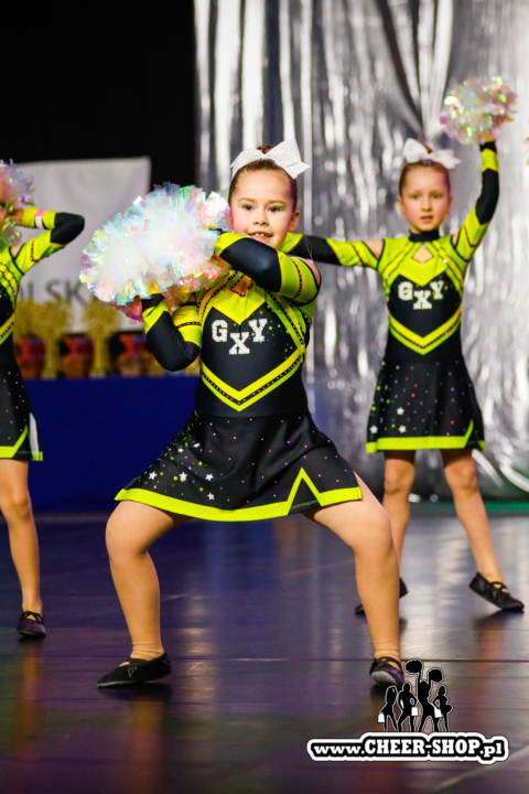 pompony golden crystal, profesjonalne pompony dla cheerleaderek, cheer poms, professional pompoms, golden crystal poms