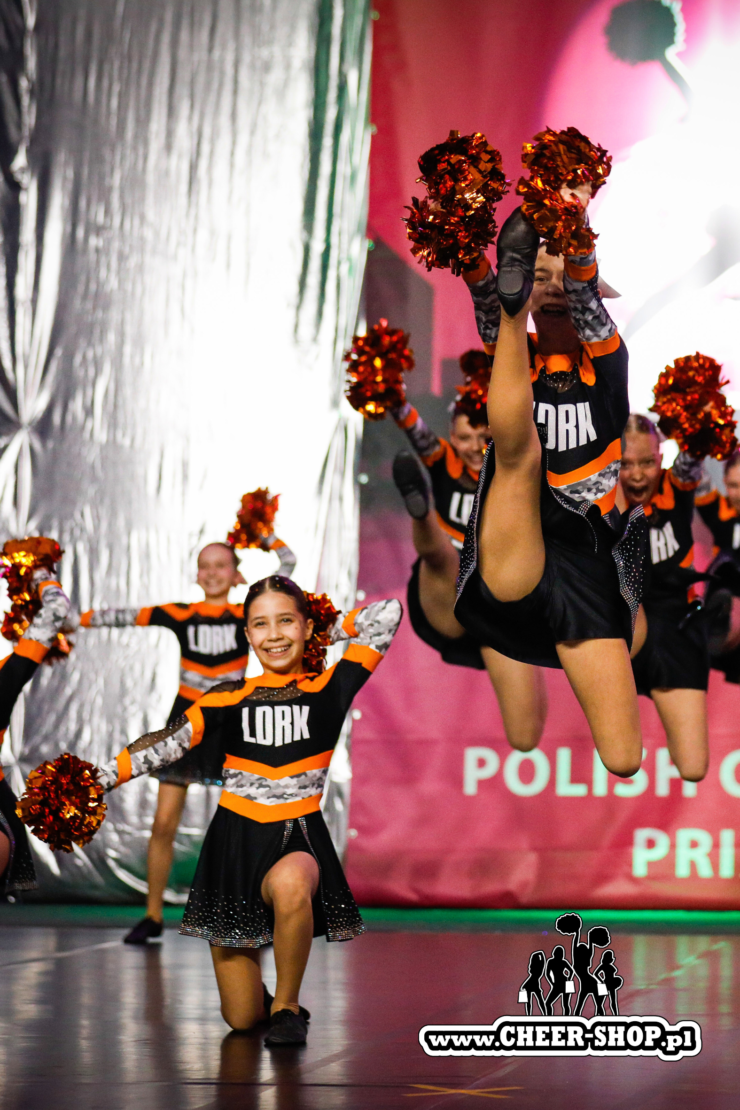 pompony metallic, profesjonalne pompony, metallic poms, pompony metaliczne, pompony dla cheerleaderek, cheer poms