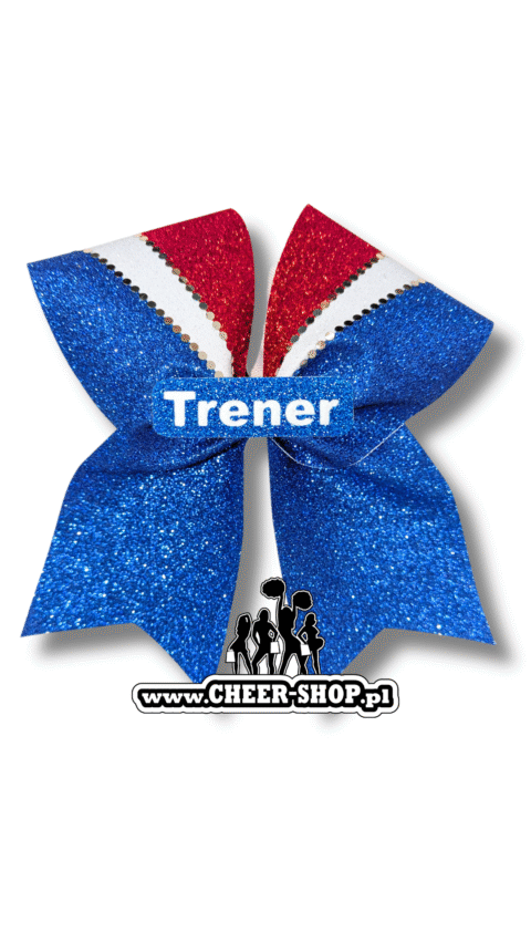 One day offer USA 2 niebieski Trener